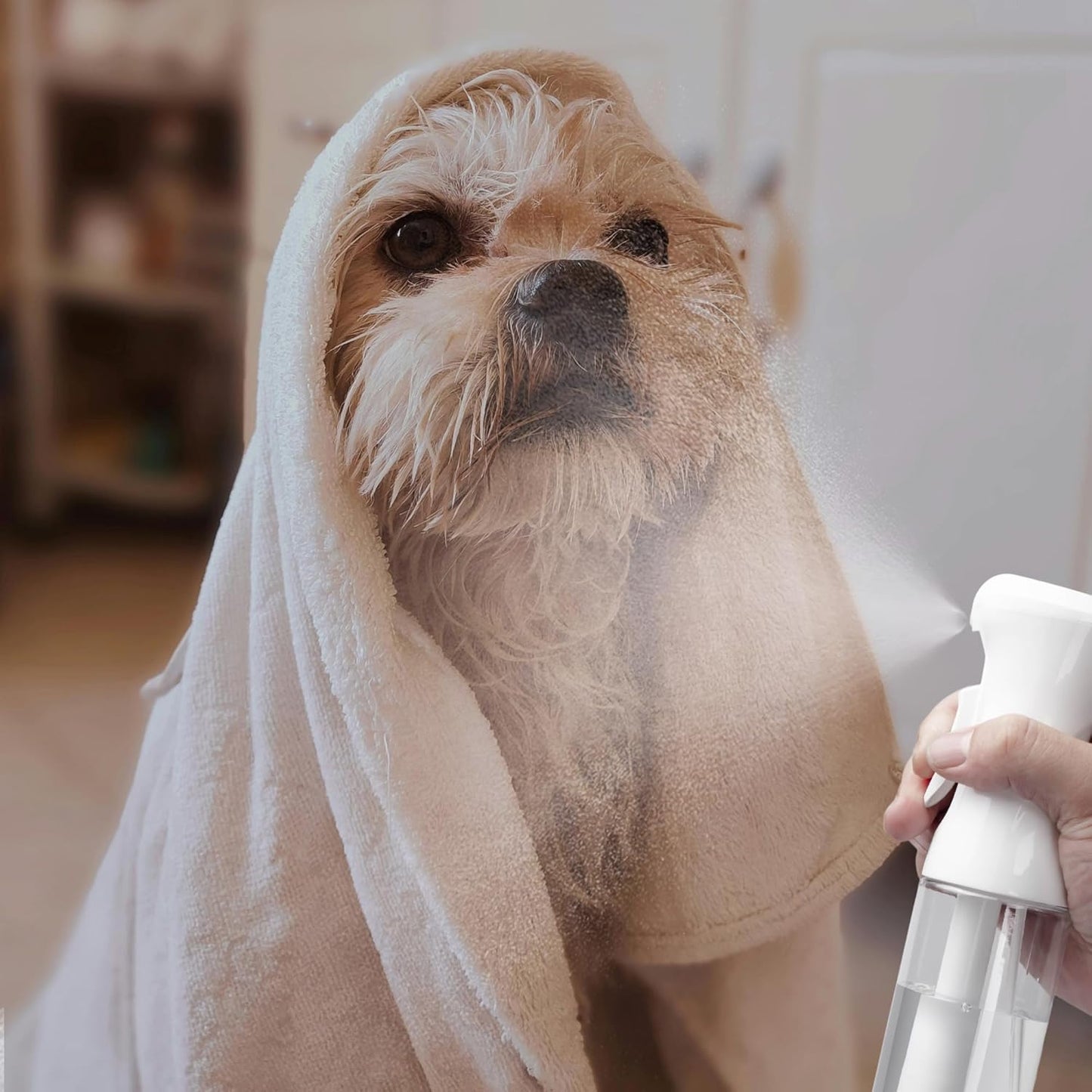 2pk Ultra-Fine Continuous Mist Spray Bottle – Leak-Proof, BPA-Free, 10oz