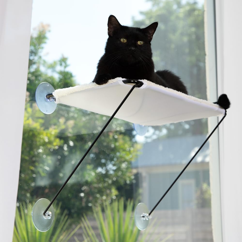 2-in-1 Collapsible Cat Window Hammock – Holds Up to 40 lbs