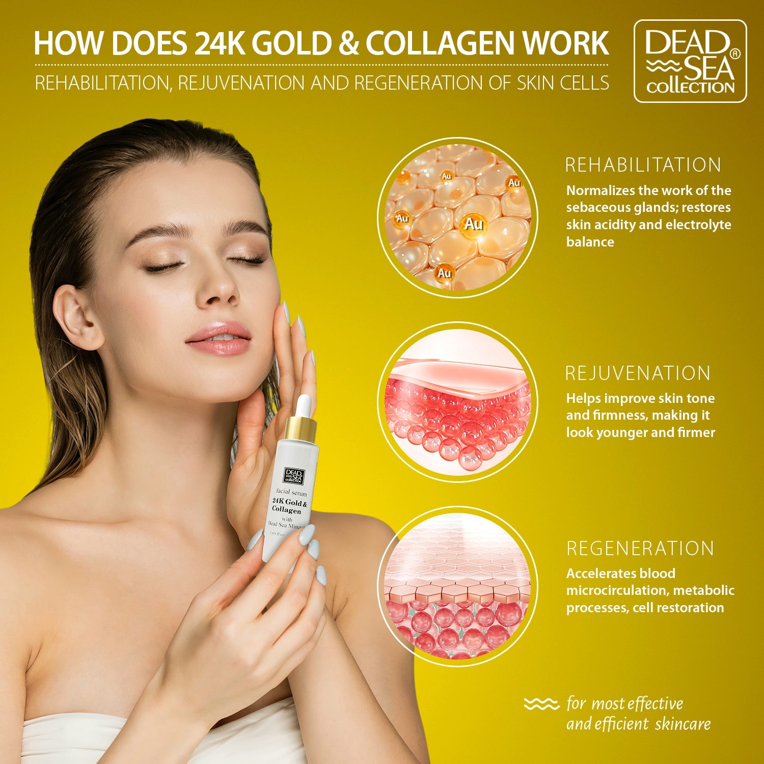 24kt Collagen Facial Serum with Dead Sea Minerals – Paraben Free Anti-Aging Hydration Treatment