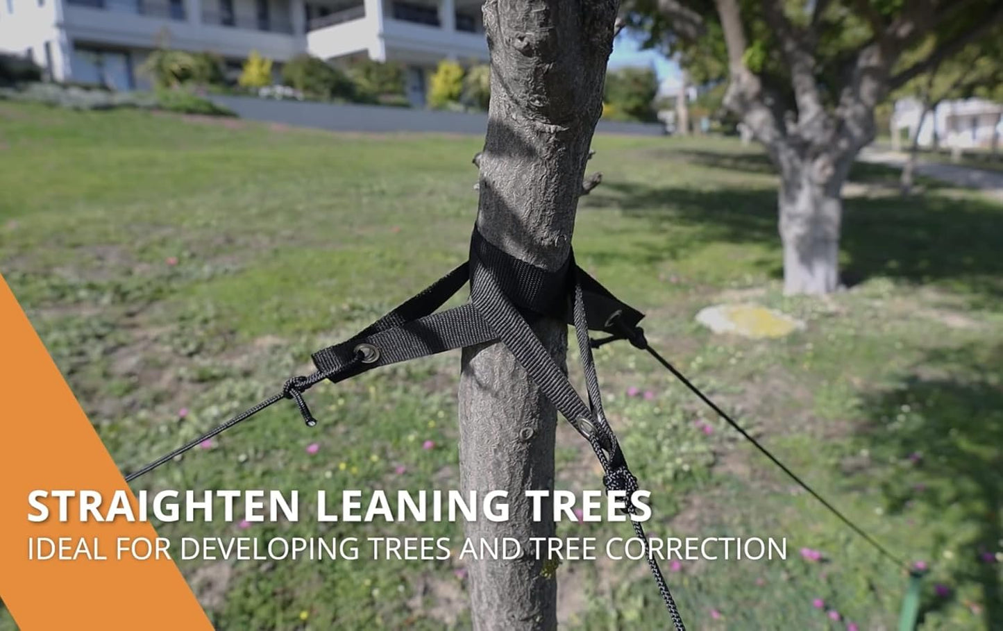 Heavy Duty Tree Stake Kit – 3 x 12" Stakes, Straps & 30ft Rope