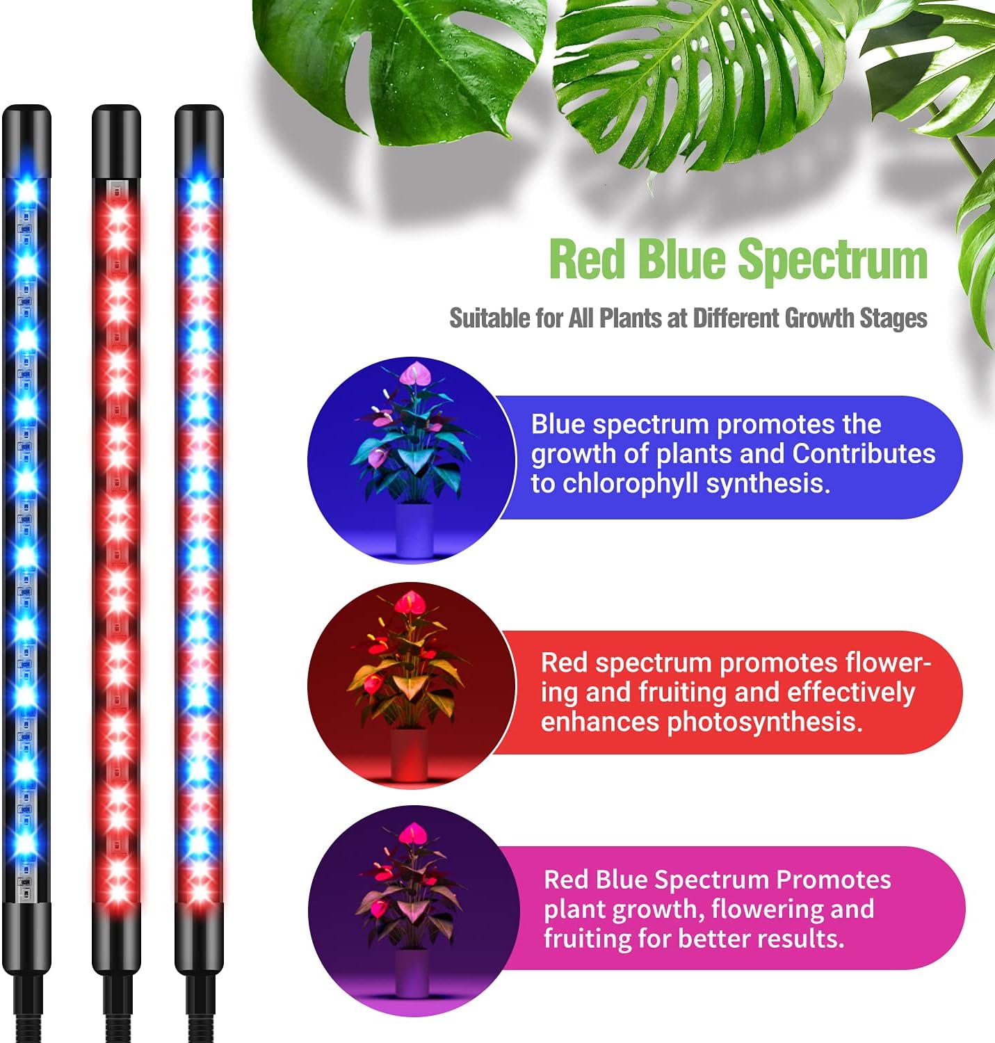 150 LED Grow Lights for Indoor Plants – Red Blue Spectrum with Timer & Dimmable Settings