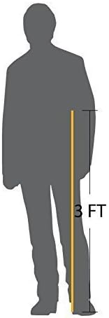 110pcs Extra Long 36" Heavy-Duty Bamboo Roasting Sticks