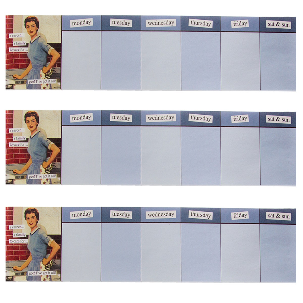 3 Funny Anne Taintor Weekly Planner 50-Sheet Sticky Notepads