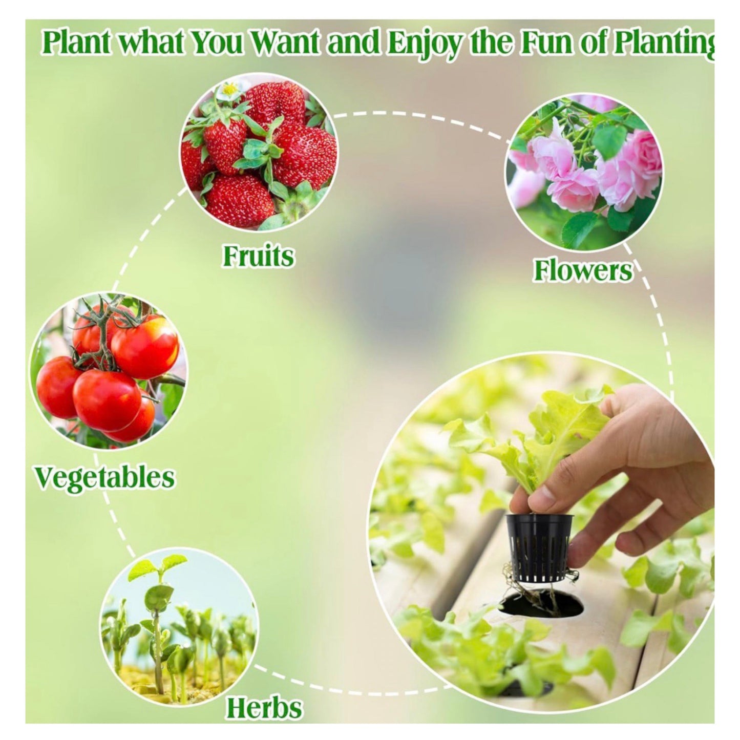 25pk of Heavy Duty Slotted Mesh Plant Pots In 3" or  4" - Hydroponic Growing