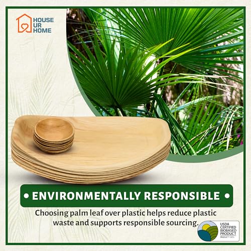 Oval Disposable Charcuterie Boards with Small Dip Bowls – Set of 10 – 16.5″ x 10.5″