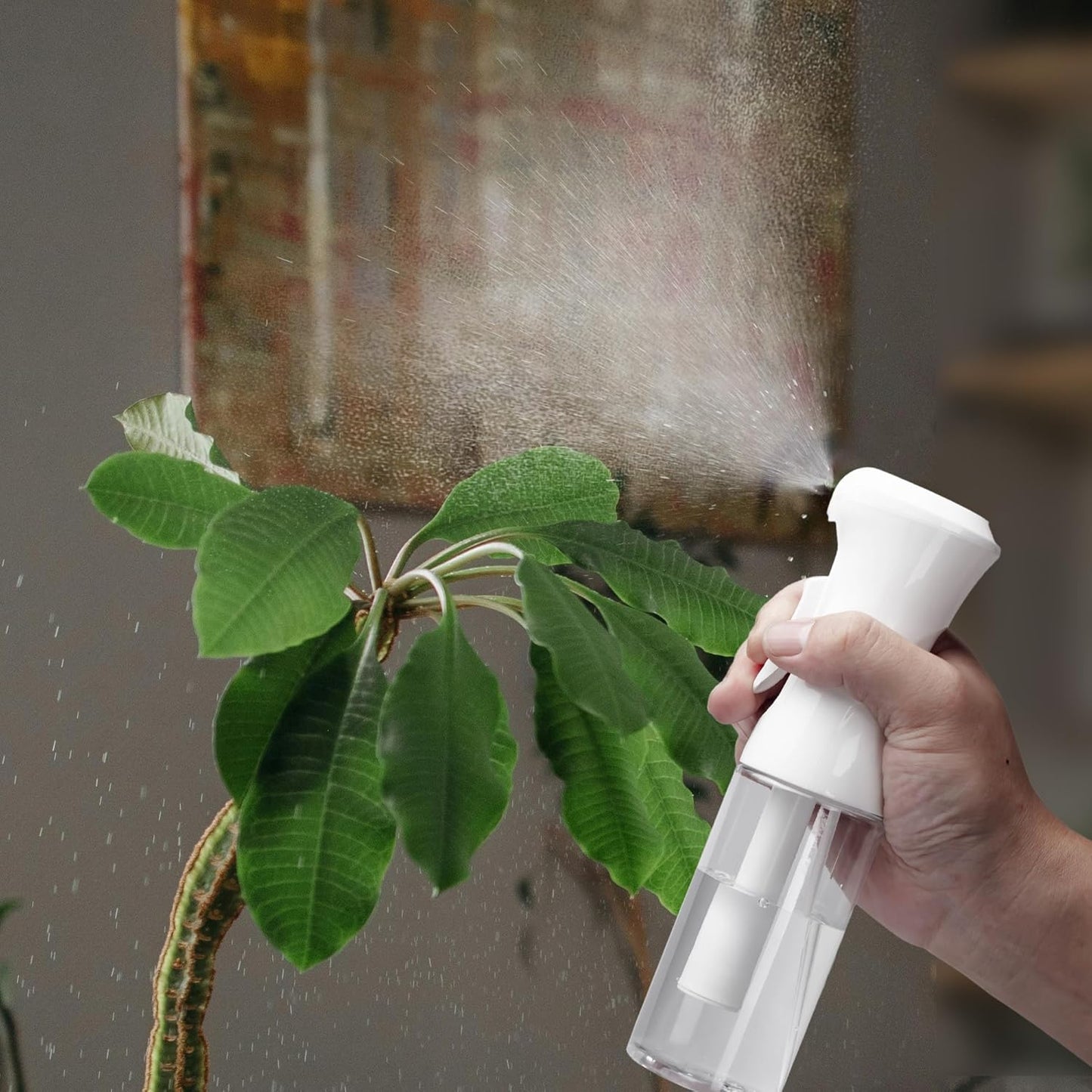 2pk Ultra-Fine Continuous Mist Spray Bottle – Leak-Proof, BPA-Free, 10oz