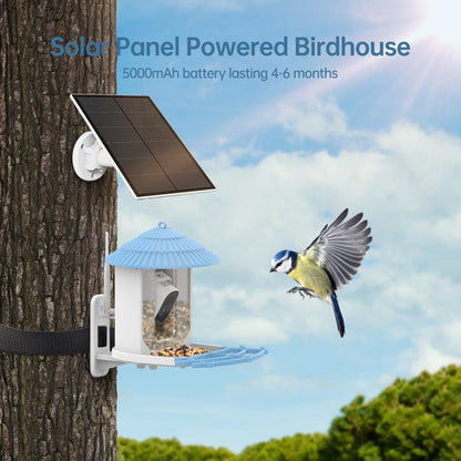 Smart Bird Feeder with 2.5K Camera & Solar Power – AI Bird Recognition