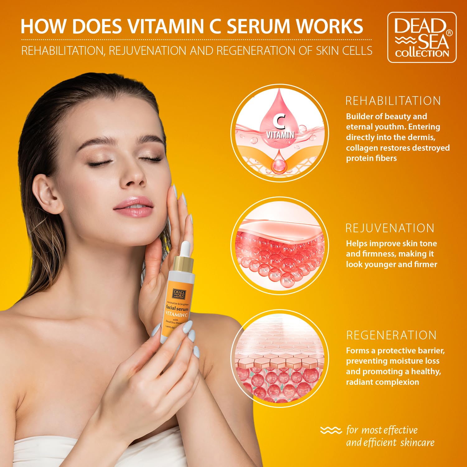 Dead Sea Collection Vitamin C Facial Serum – Anti-Aging & Brightening Hydration for Women and Men