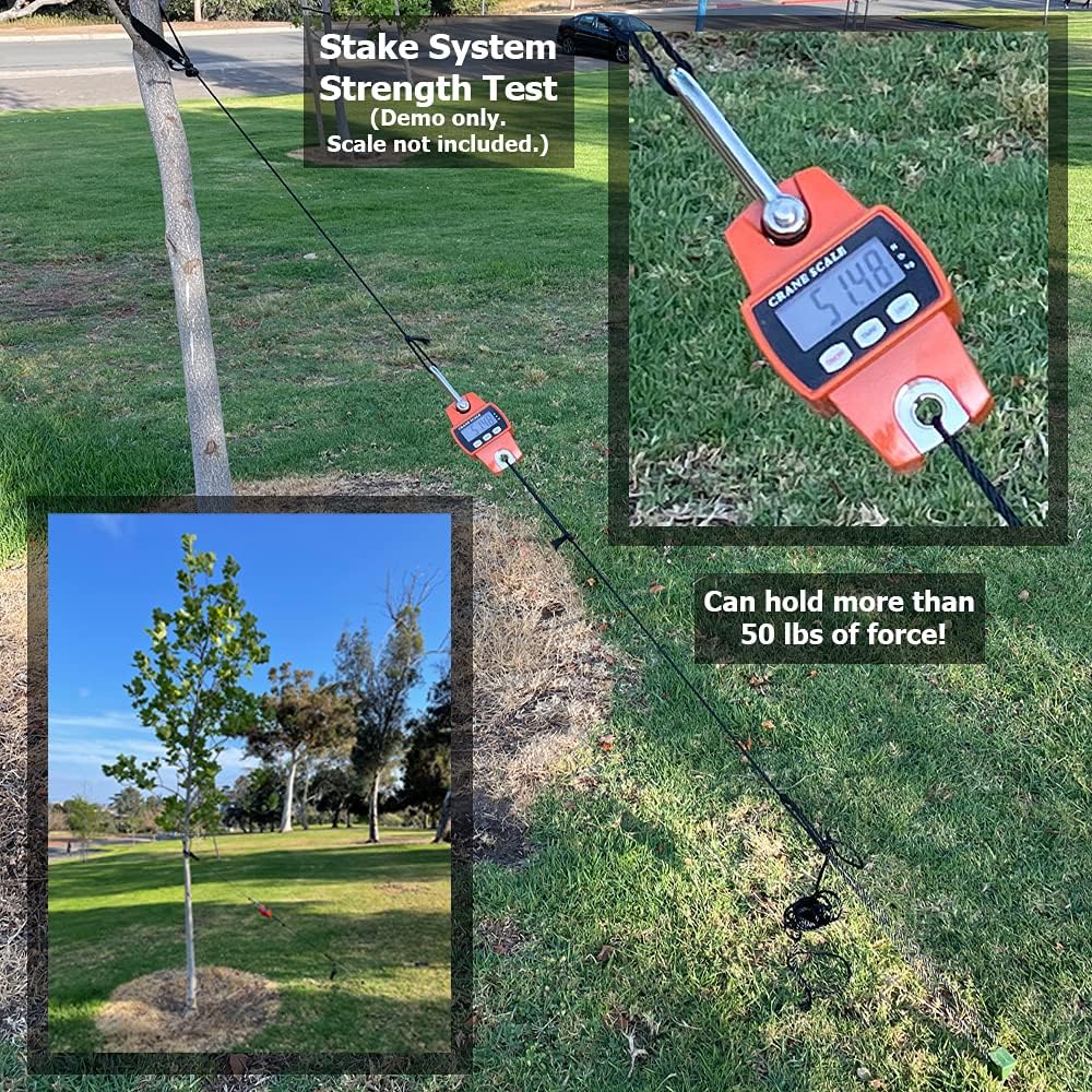 Heavy Duty Tree Stake Kit – 3 x 12" Stakes, Straps & 30ft Rope