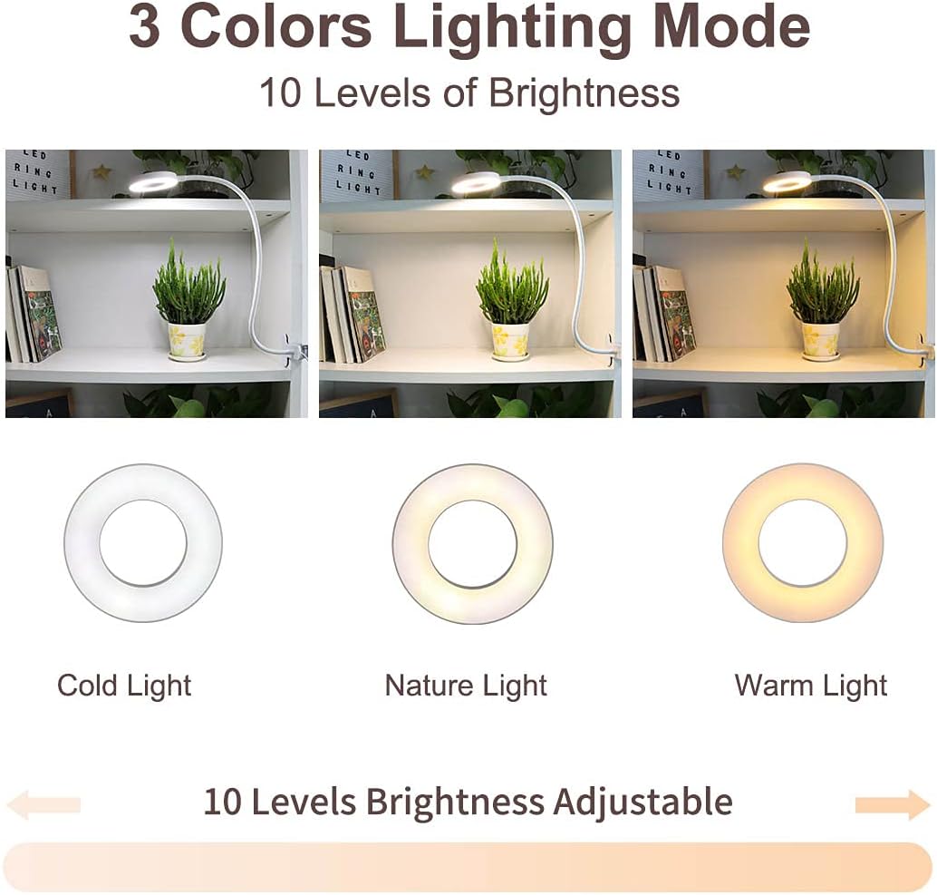 Live Studio LED Streaming Light Kit – USB Powered with Controller