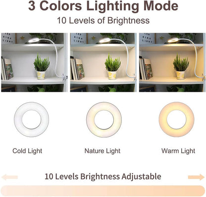 Live Studio LED Streaming Light Kit – USB Powered with Controller