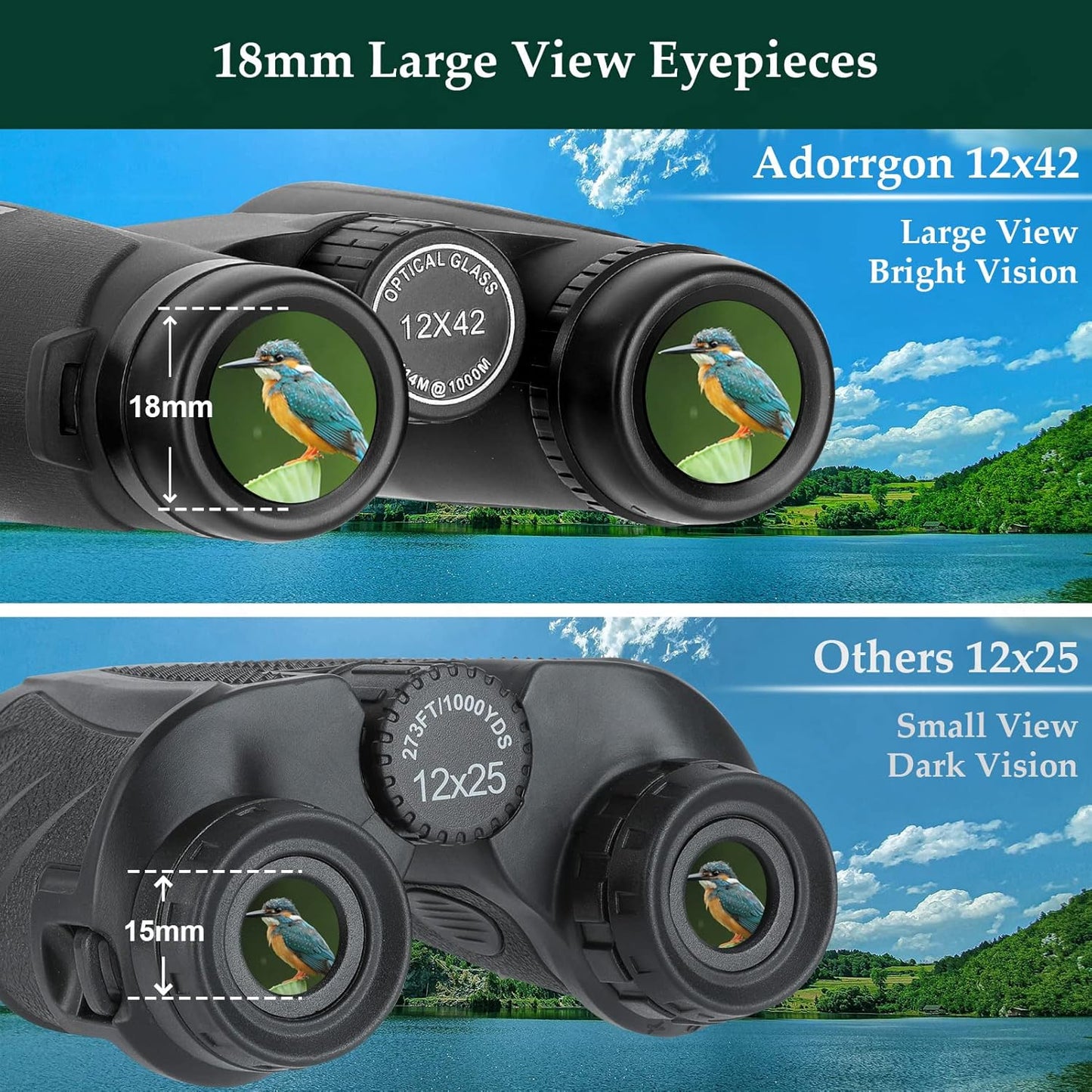 Adorrgon 12x42 HD Binoculars for Adults with Phone Adapter & Tripod – Clear Low Light Vision