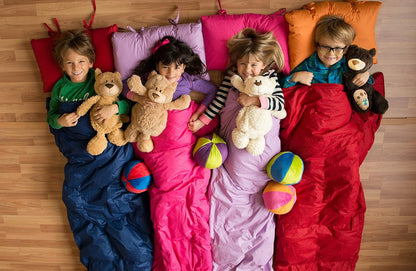 Buddy Balls Teddy Bear Convertible Plush Toy & Storage – Meet Max or Eva