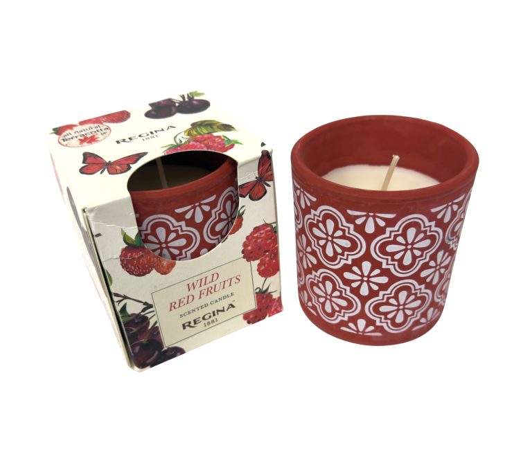 6pk Regina Scented Candle – 4.6 oz Terracotta Jar – Multiple Fragrances