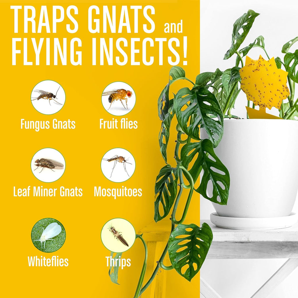 24ct Super Sticky Insect Traps – Indoor/Outdoor Yellow Fly Traps for House & Plants