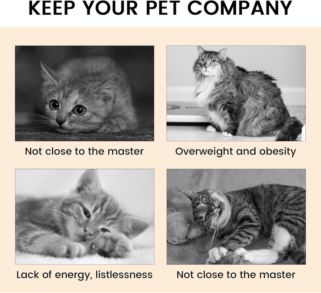 2-Pack Foldable Cat Tunnel Toy – Interactive Indoor Play for Happy & Active Cats