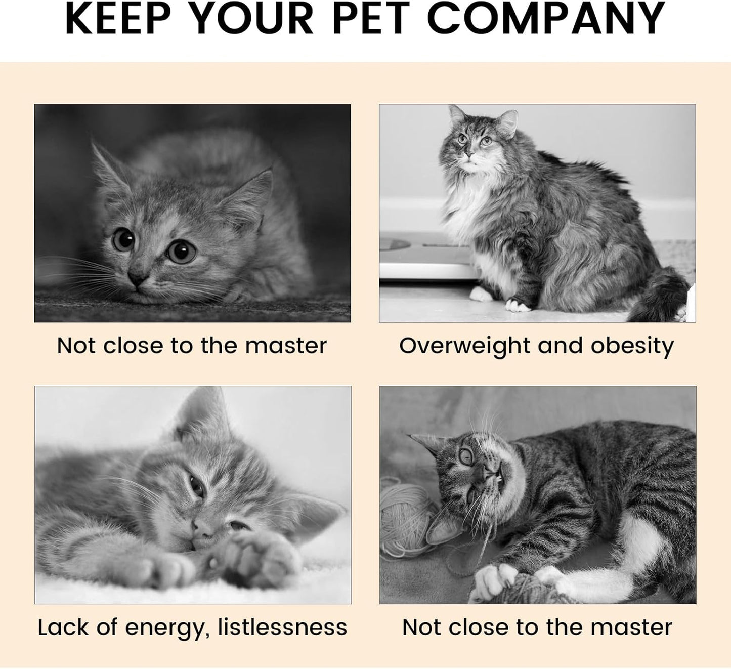 2-Pack Foldable Cat Tunnel Toy – Interactive Indoor Play for Happy & Active Cats