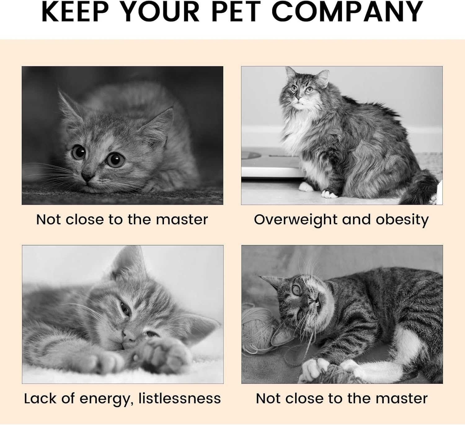 2-Pack Foldable Cat Tunnel Toy – Interactive Indoor Play for Happy & Active Cats