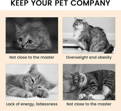 2-Pack Foldable Cat Tunnel Toy – Interactive Indoor Play for Happy & Active Cats