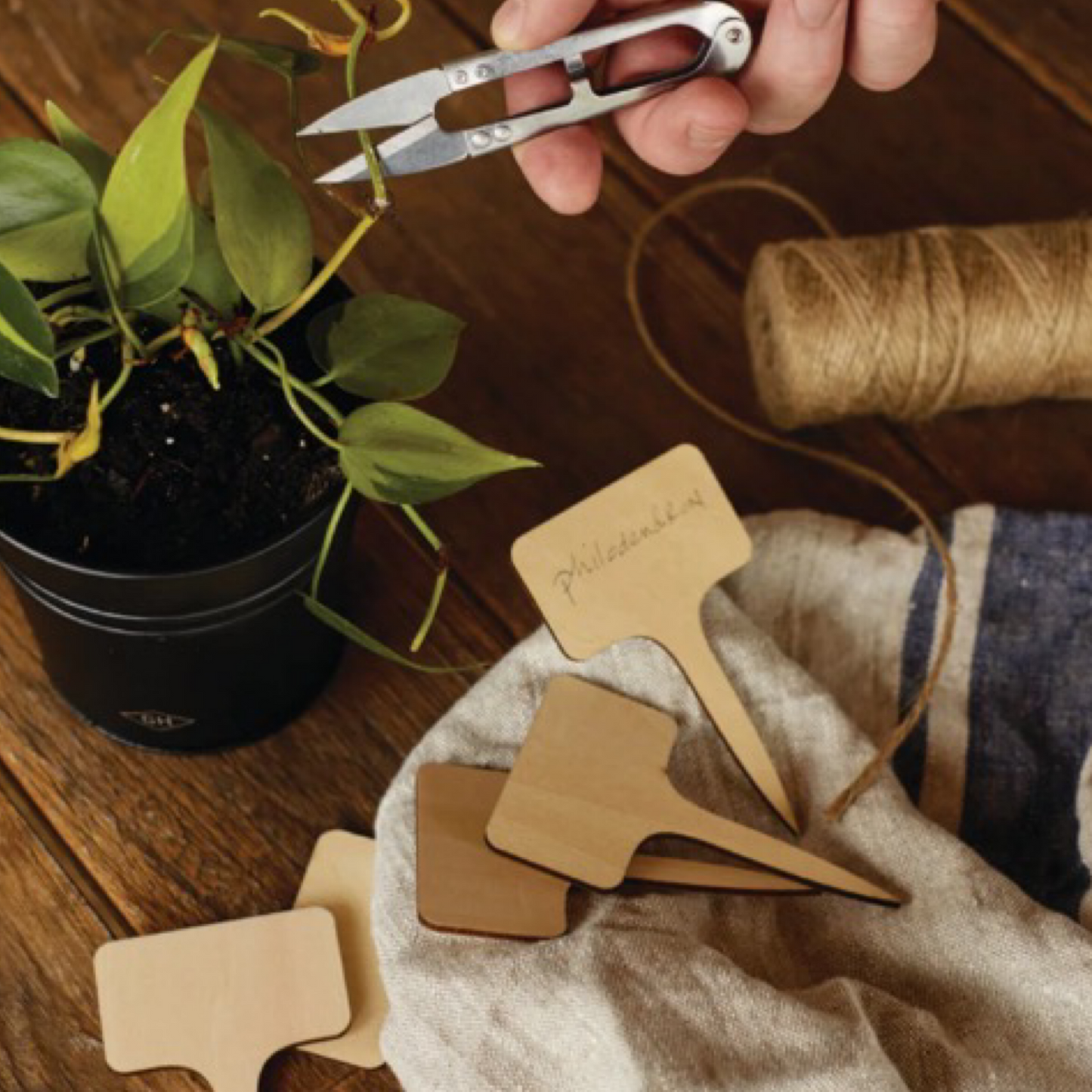 4pk of Gentlemen's Hardware Herb Gardening Pot Starter Kits