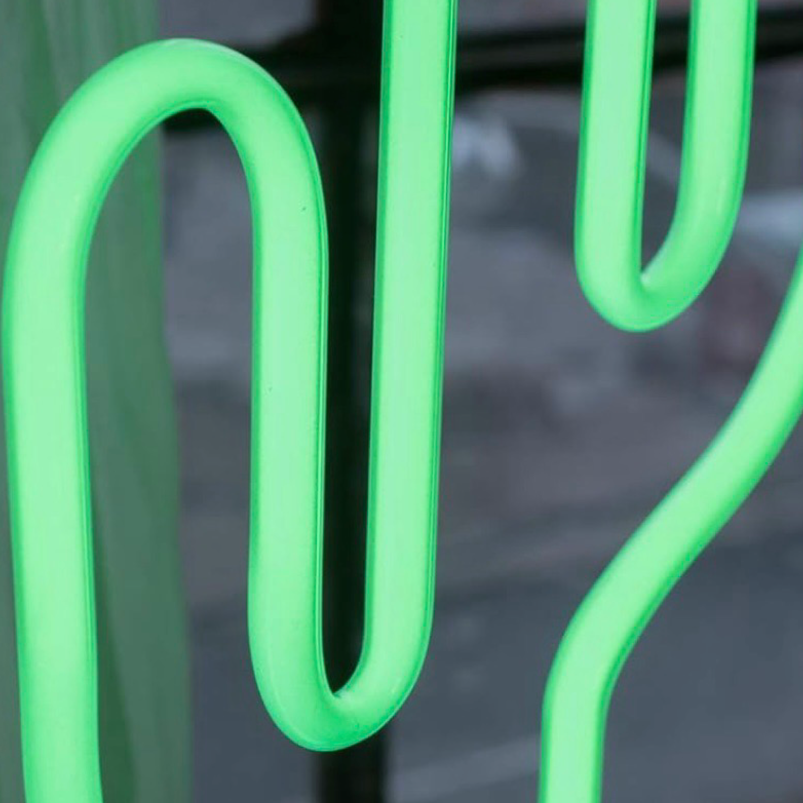 16.5" Neon LED Cactus Light - Home Decor by AMPED