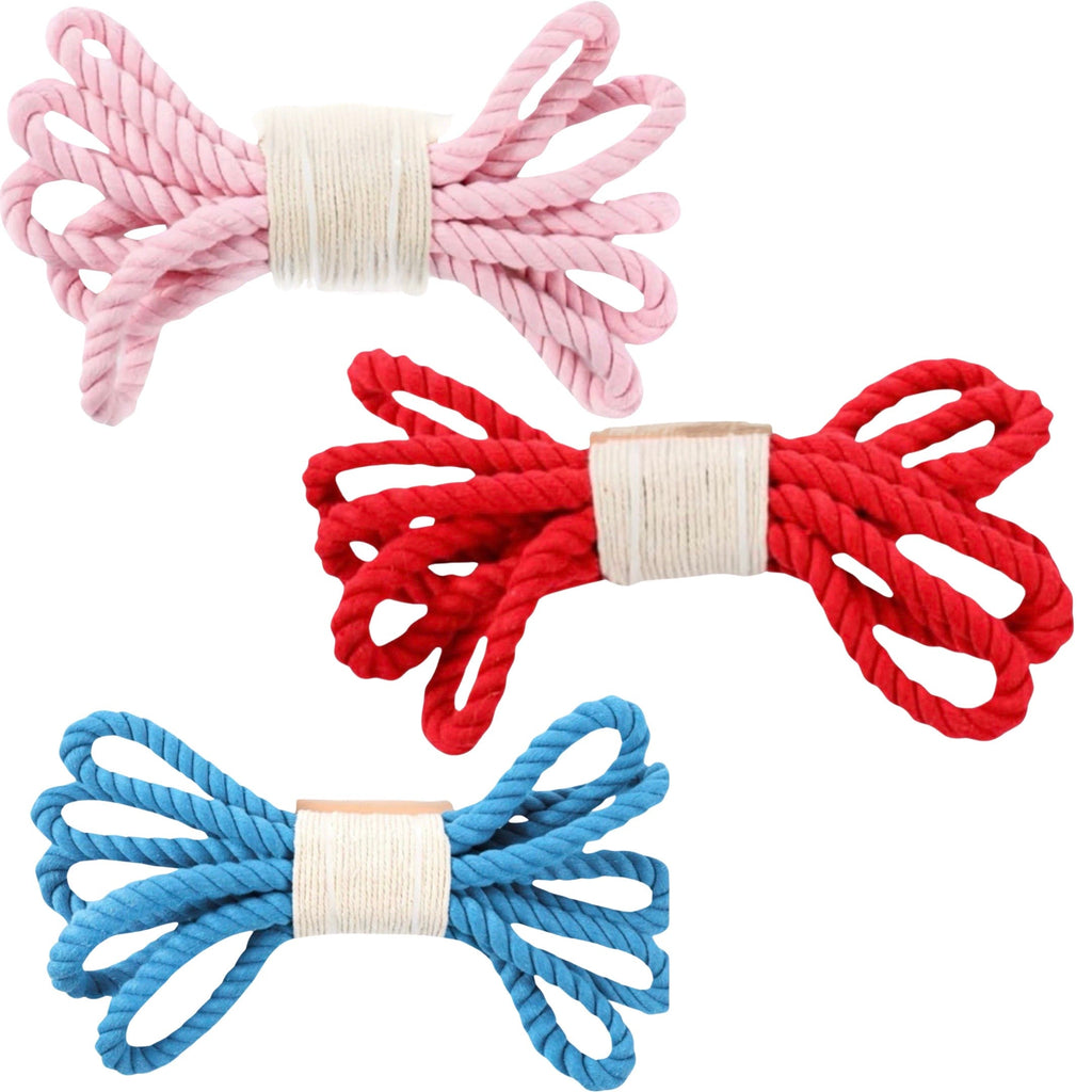 10" Parklife Organic Cotton Loopsy Loop Rope Dog Toy - Tug O' War Time