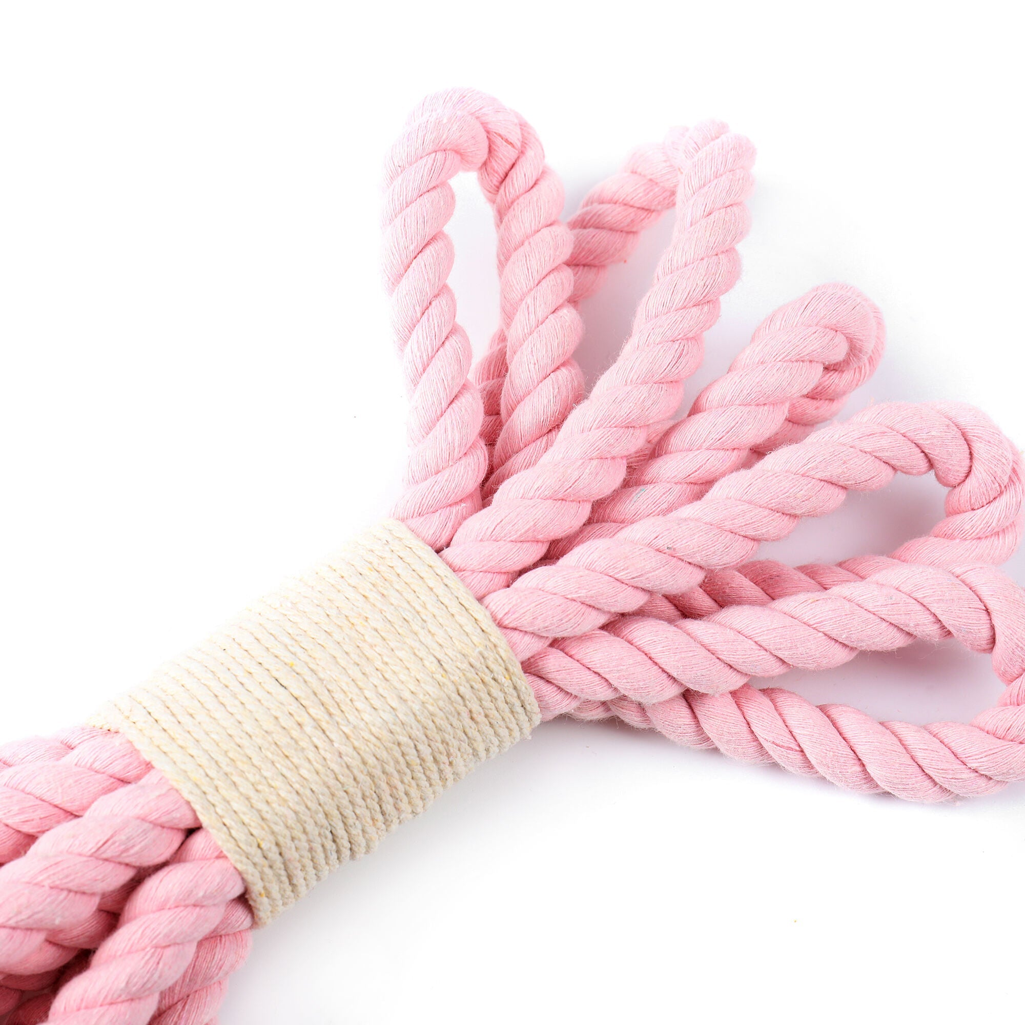 10" Parklife Organic Cotton Loopsy Loop Rope Dog Toy - Tug O' War Time
