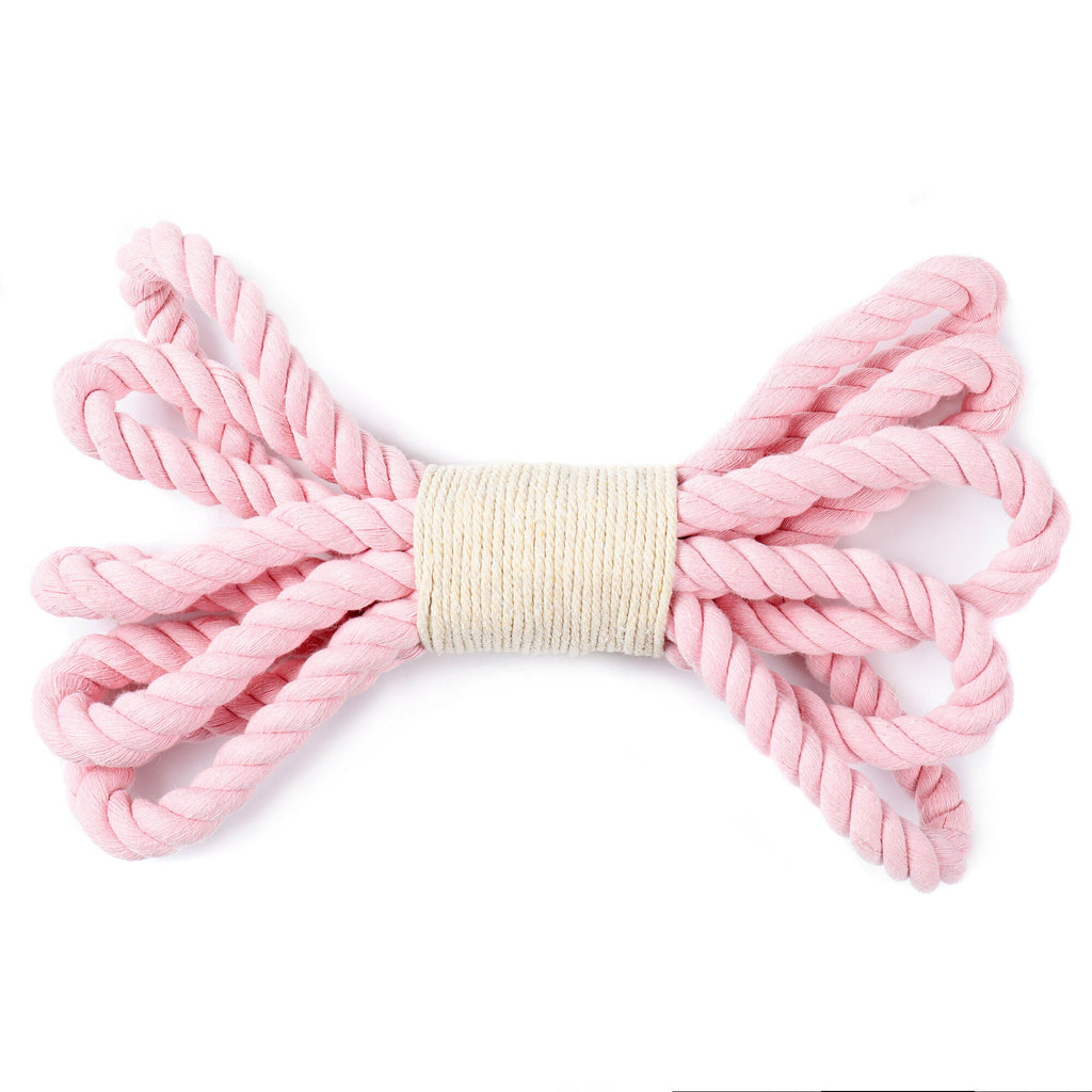 10" Parklife Organic Cotton Loopsy Loop Rope Dog Toy - Tug O' War Time