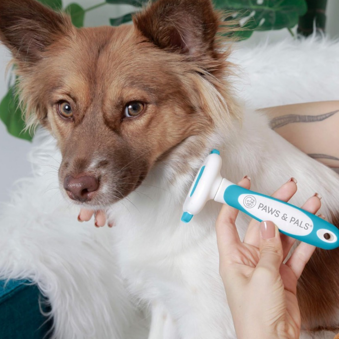 Paws & Pals "Best In Show" Deshedder - For All Hair Types