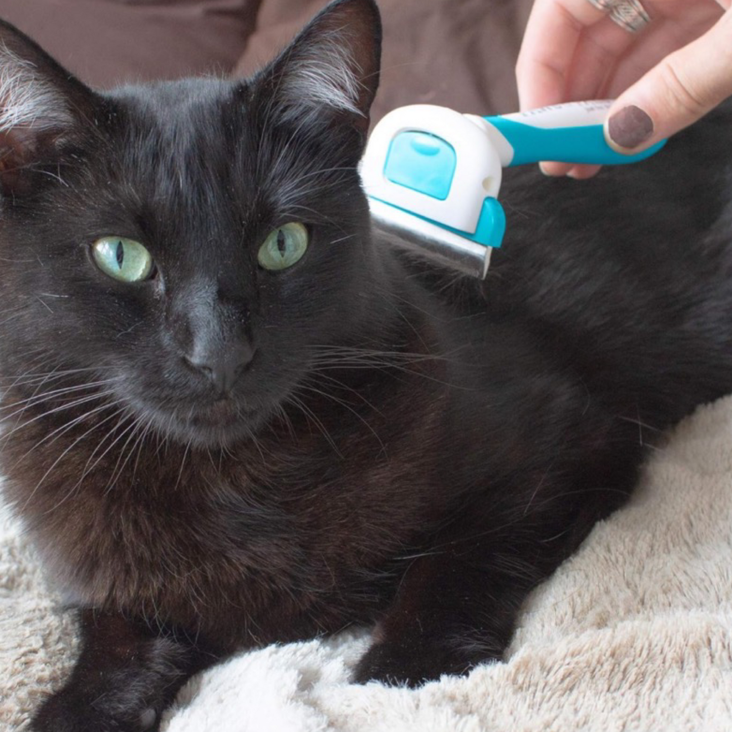 Paws & Pals "Best In Show" Deshedder - For All Hair Types