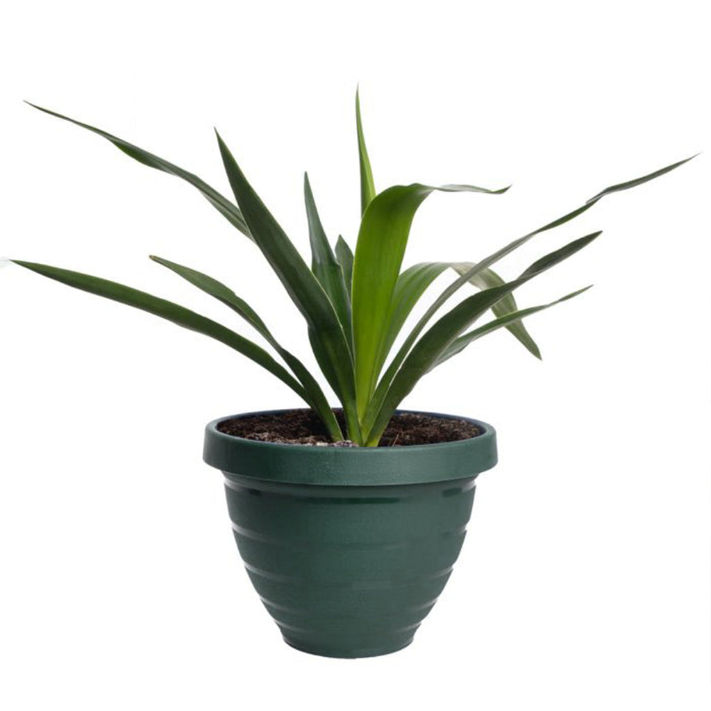 10pk Self-Watering Easy Care 7.5” Planter Pots By HC Companies