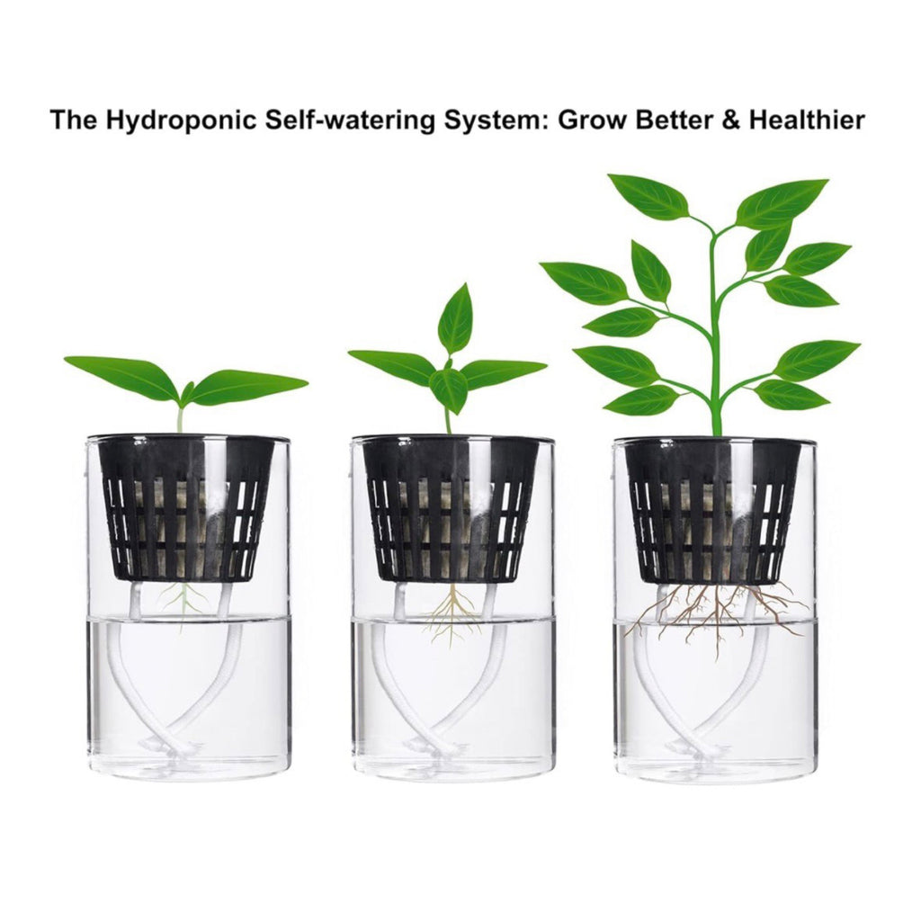 25pk of Heavy Duty Slotted Mesh Plant Pots In 3" or  4" - Hydroponic Growing