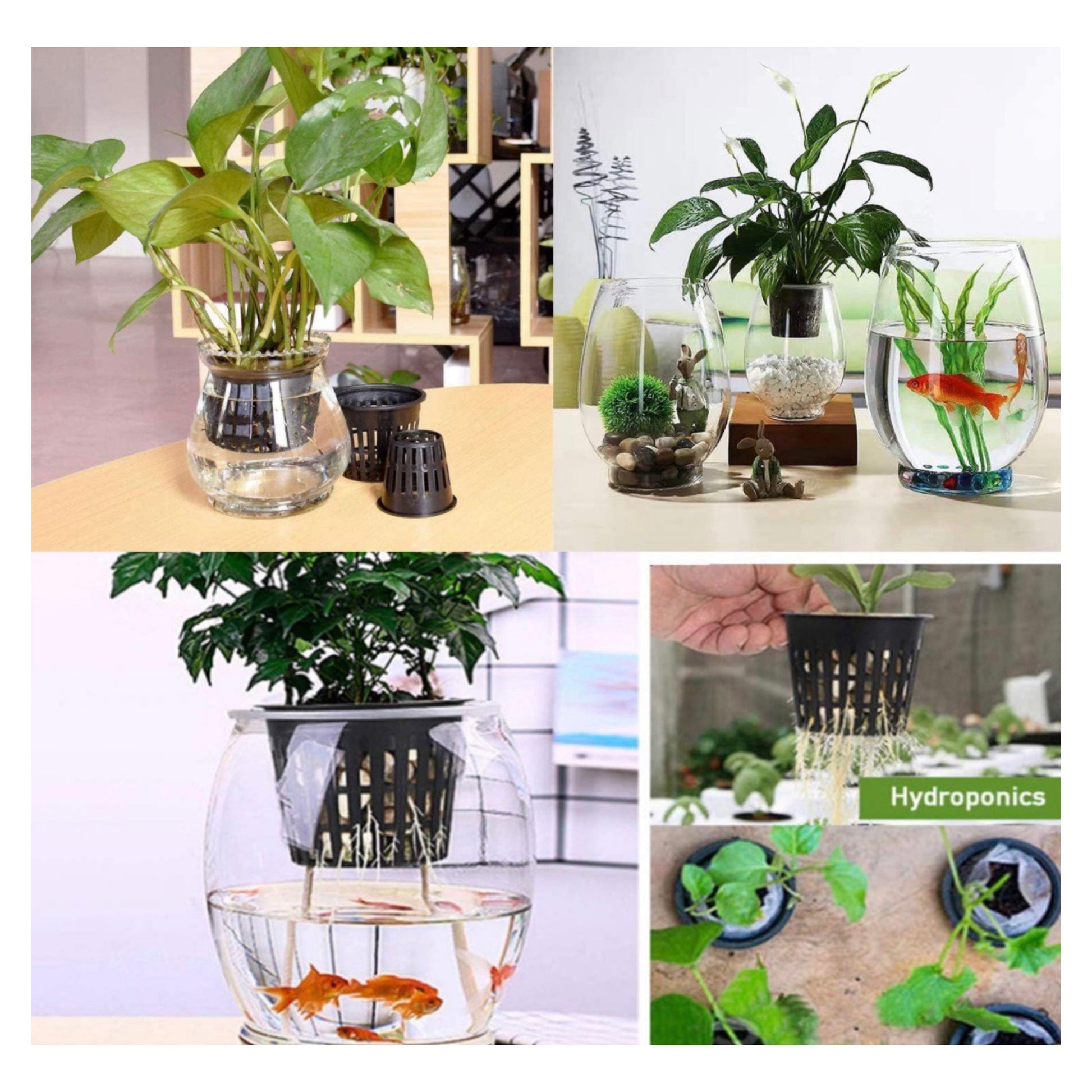 25pk of Heavy Duty Slotted Mesh Plant Pots In 3" or  4" - Hydroponic Growing