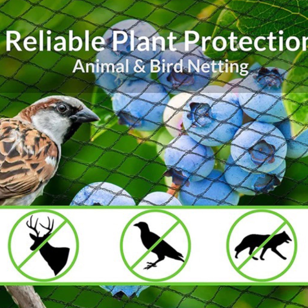 6 x 33 ft Green Garden Netting - Protect Your Garden From Pests