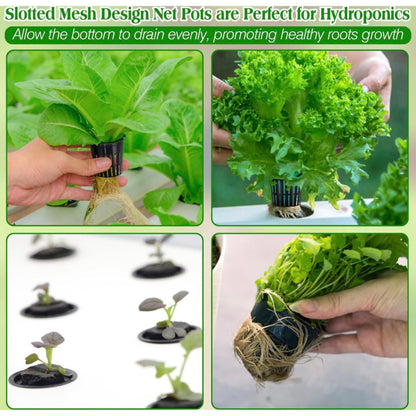 25pk of Heavy Duty Slotted Mesh Plant Pots In 3" or  4" - Hydroponic Growing
